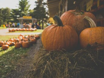 5th annual fall fest