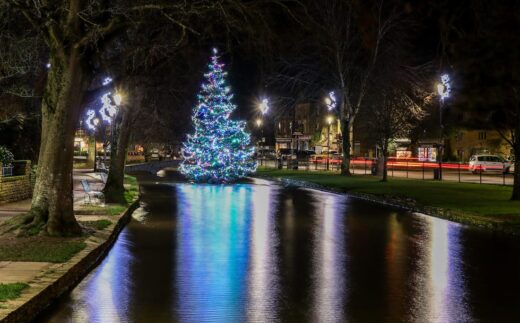 {{brizy_dc_image_alt entityId=