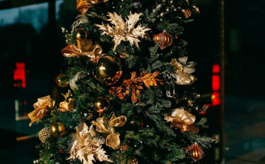 {{brizy_dc_image_alt entityId=