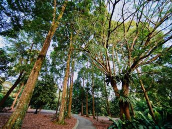 {{brizy_dc_image_alt entityId=