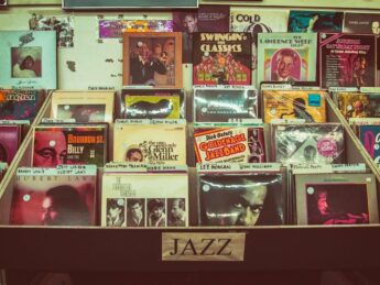 Vinyl Vibes